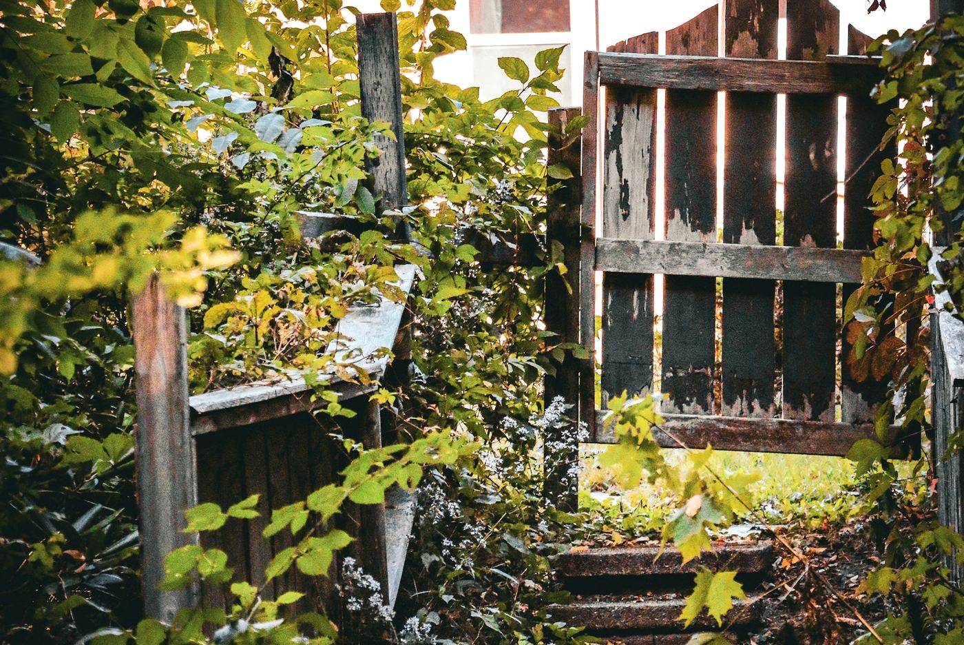 A narrow overgrown side path leading to a weathered wooden gate and stone steps.